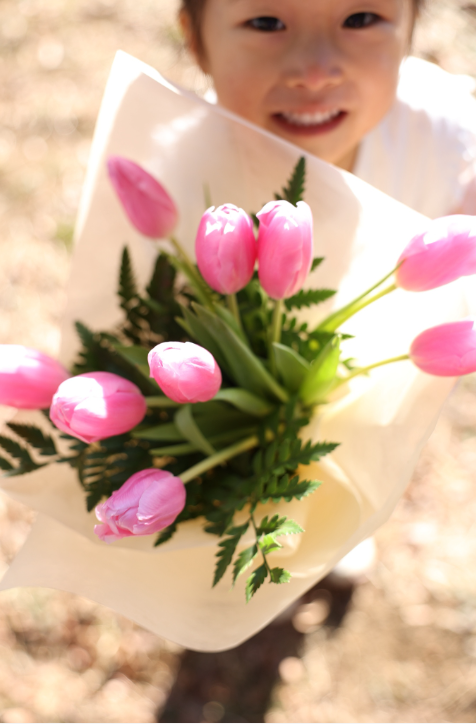 「ハルのまなざし」心を込めて