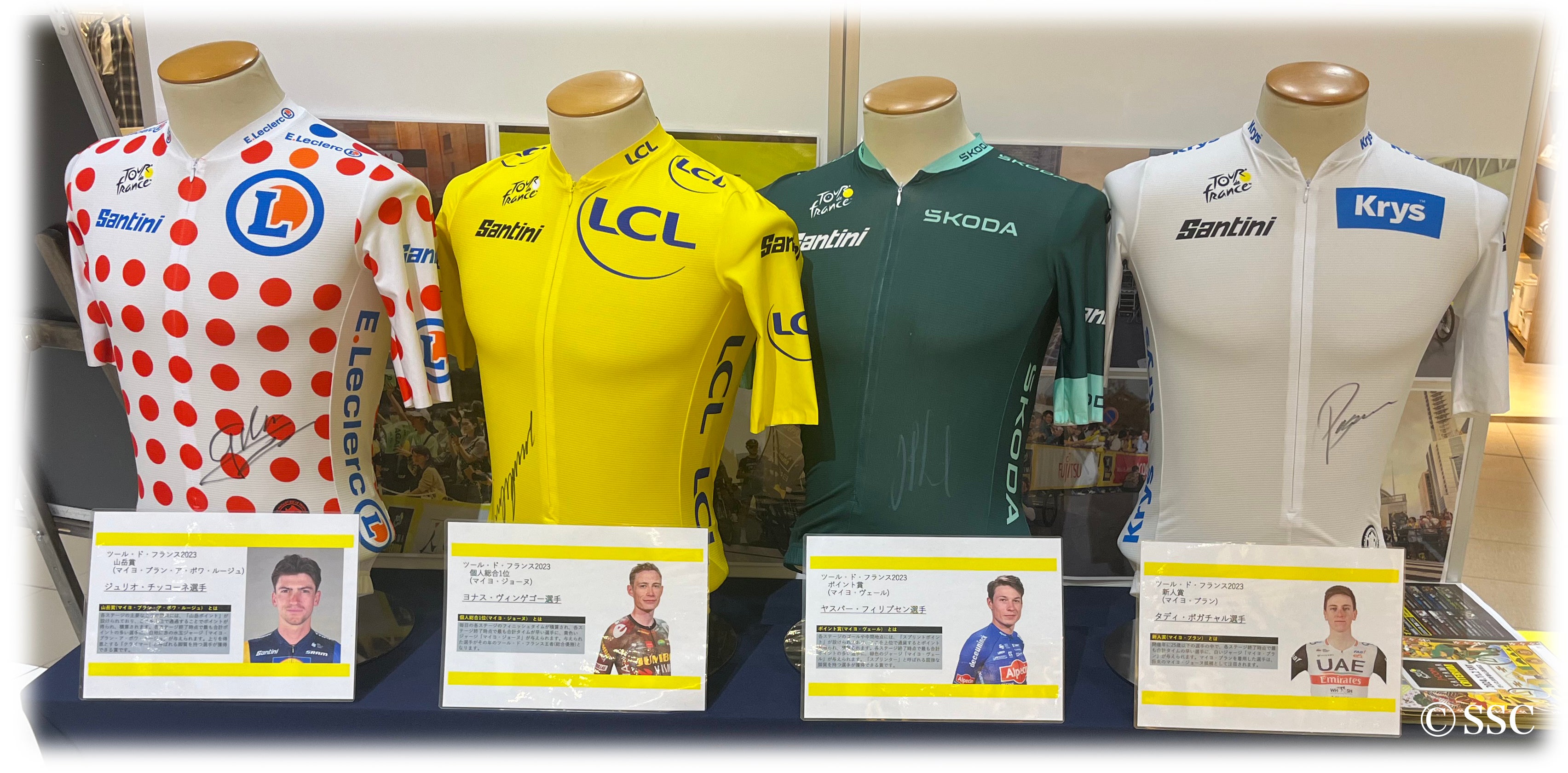 ４つの特別なジャージ