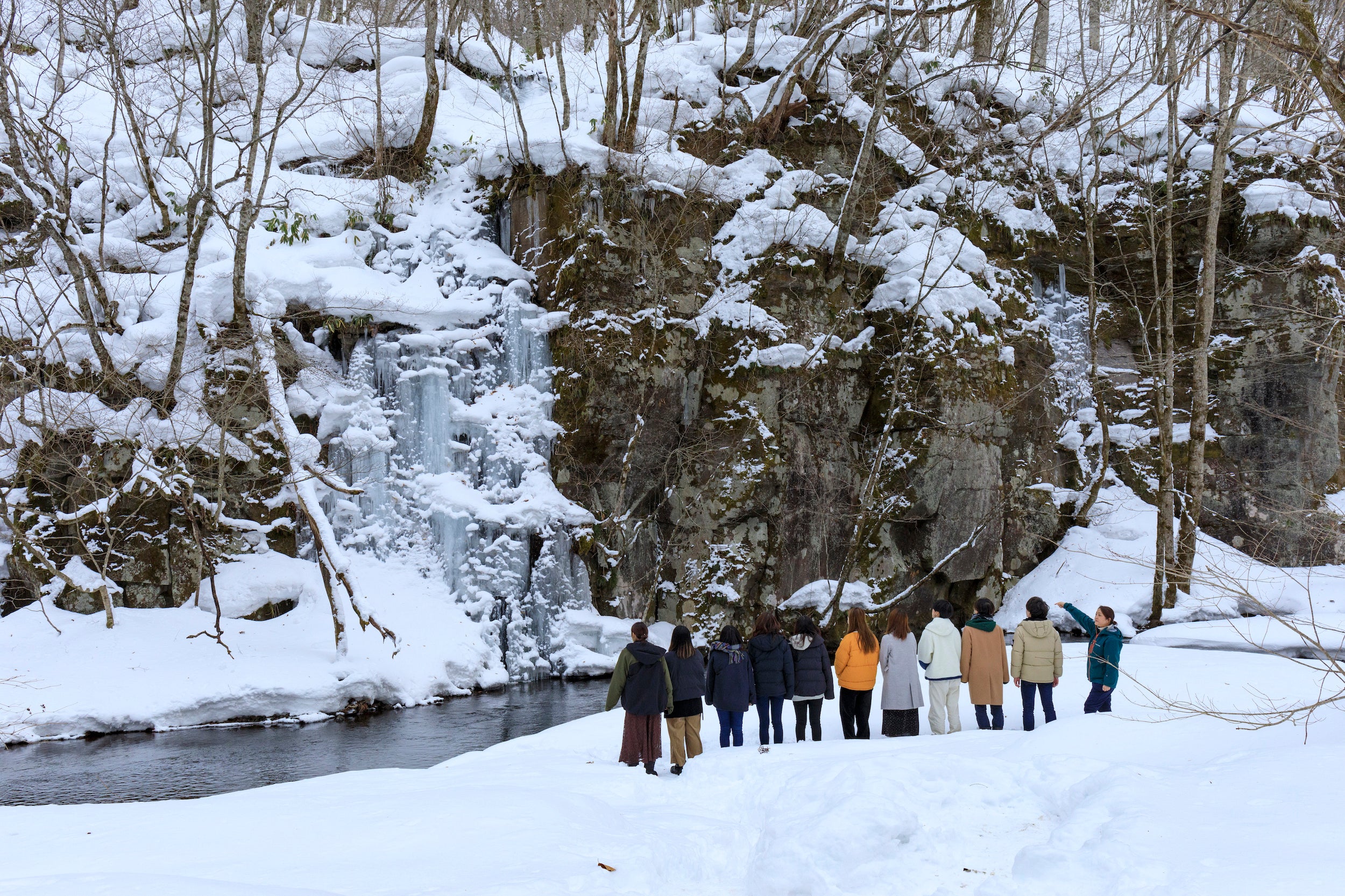 奥入瀬渓流 夏に青森の奥入瀬渓流へ行って撮影をしてきた【Nikon Z7＋Z14