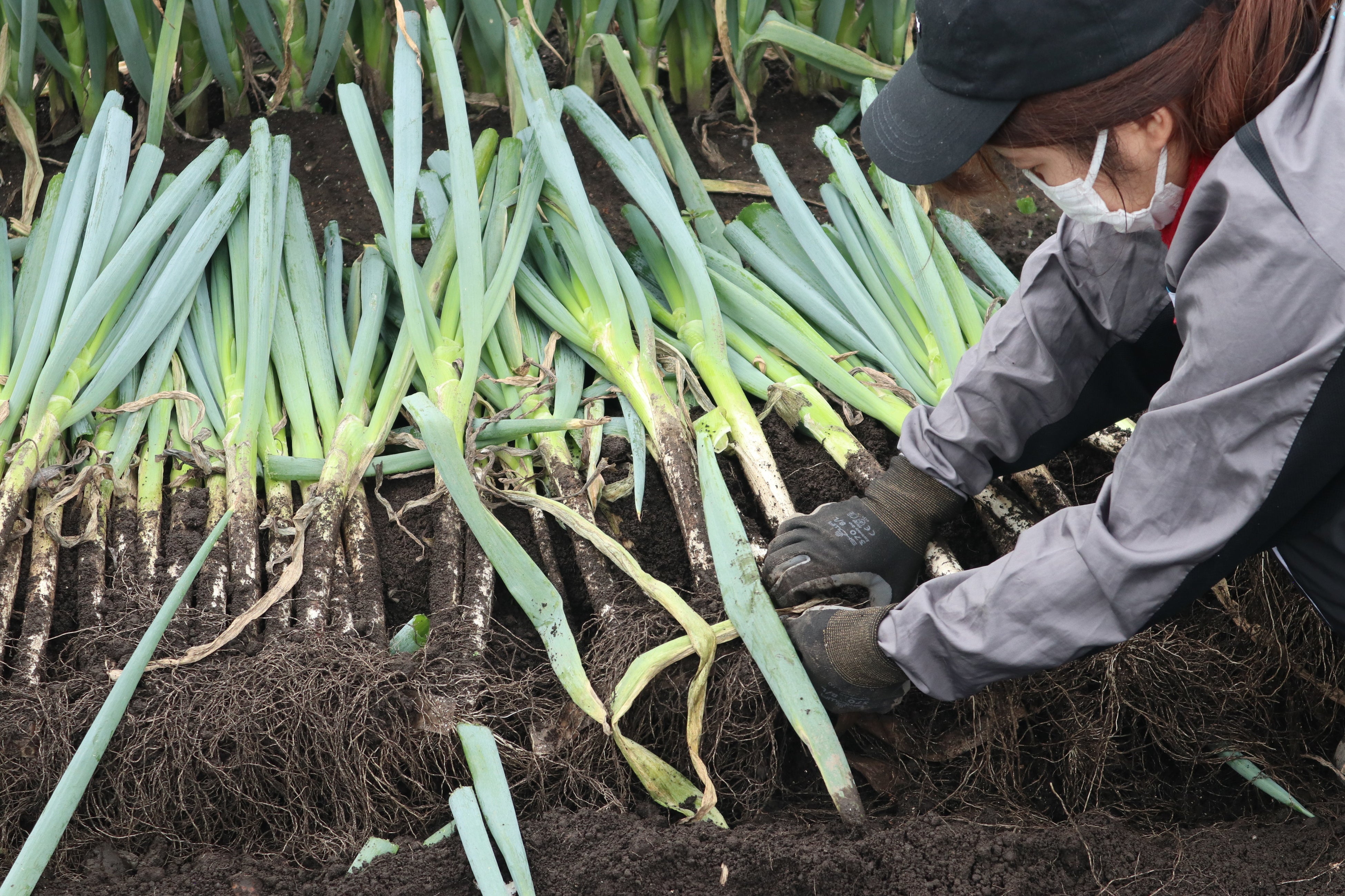 ©︎（一社）十和田奥入瀬観光機構