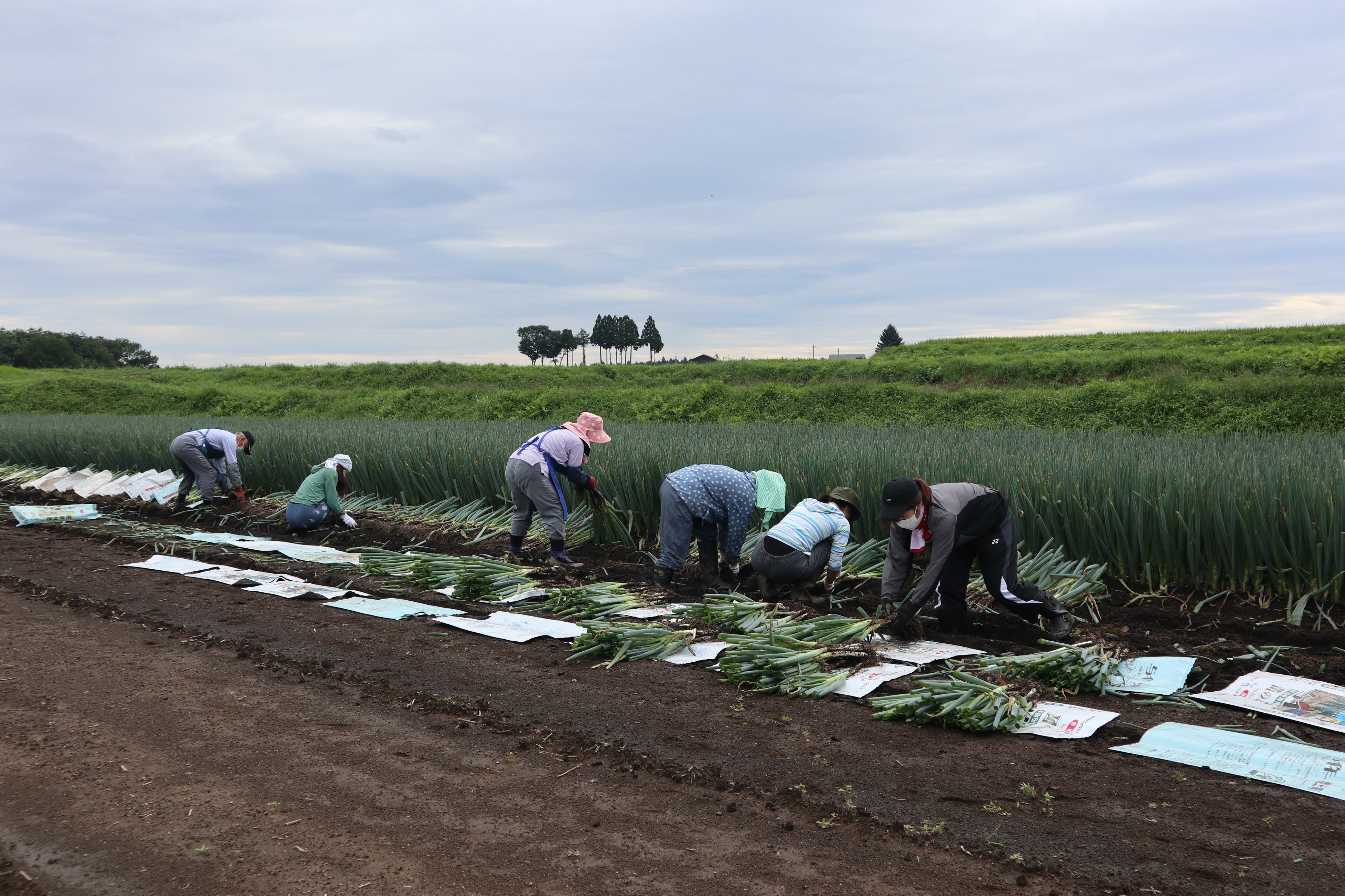 ©︎（一社）十和田奥入瀬観光機構