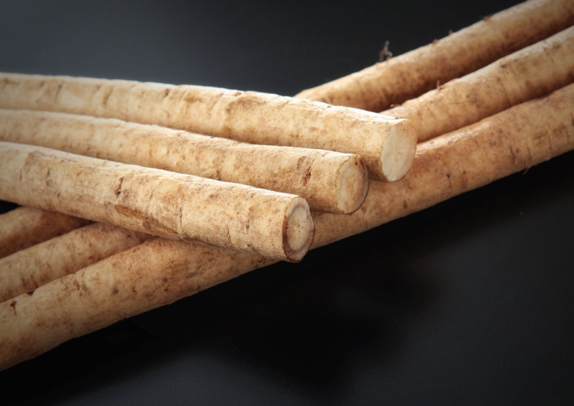 ©︎（一社）十和田奥入瀬観光機構