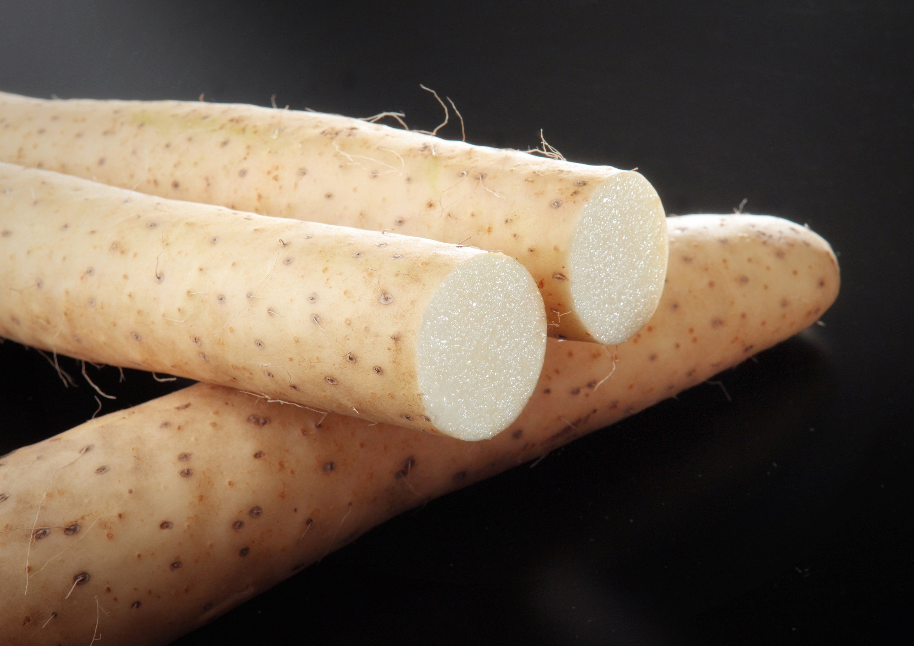 ©︎（一社）十和田奥入瀬観光機構