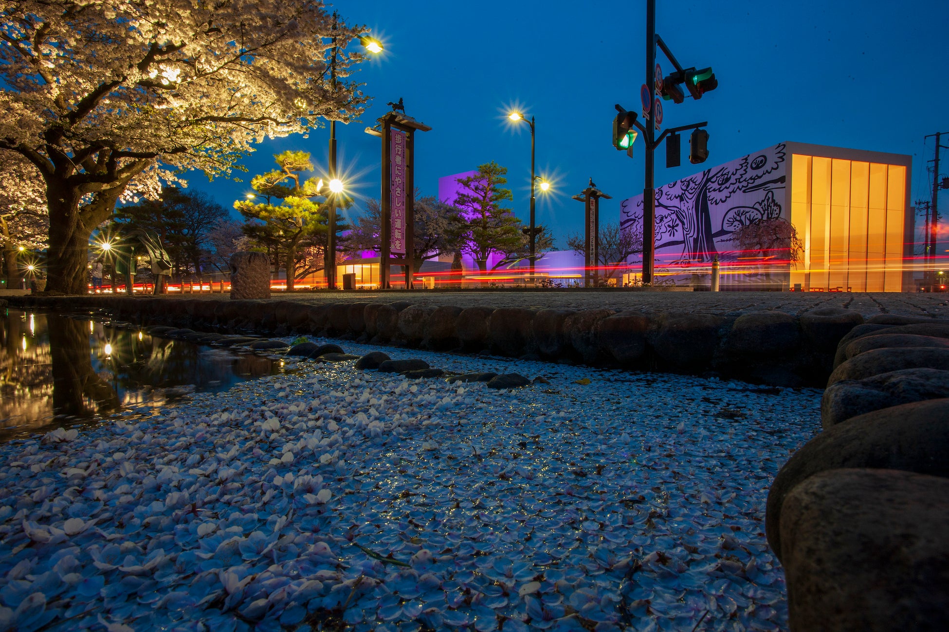 ©︎十和田奥入瀬観光機構/撮影:和田光弘