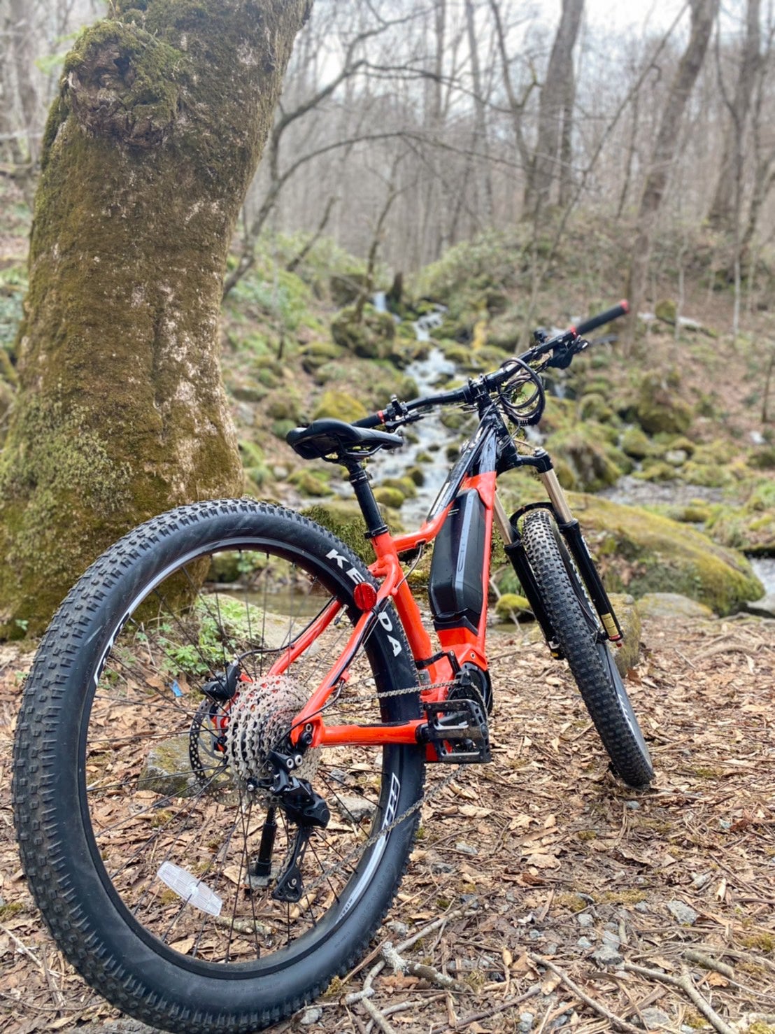 ©︎十和田奥入瀬観光機構