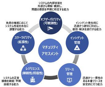 図2. マチュリティ・アセスメントの構成