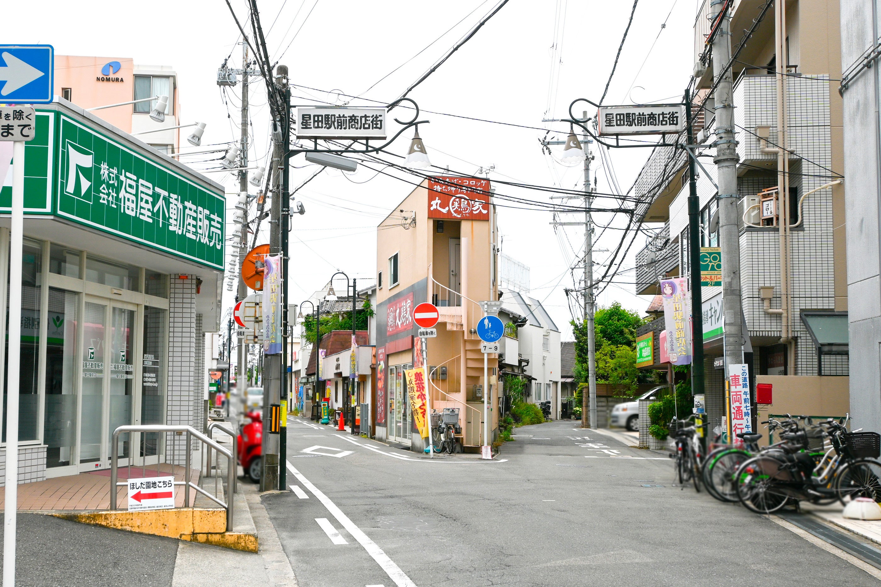 ぜひお越しください！