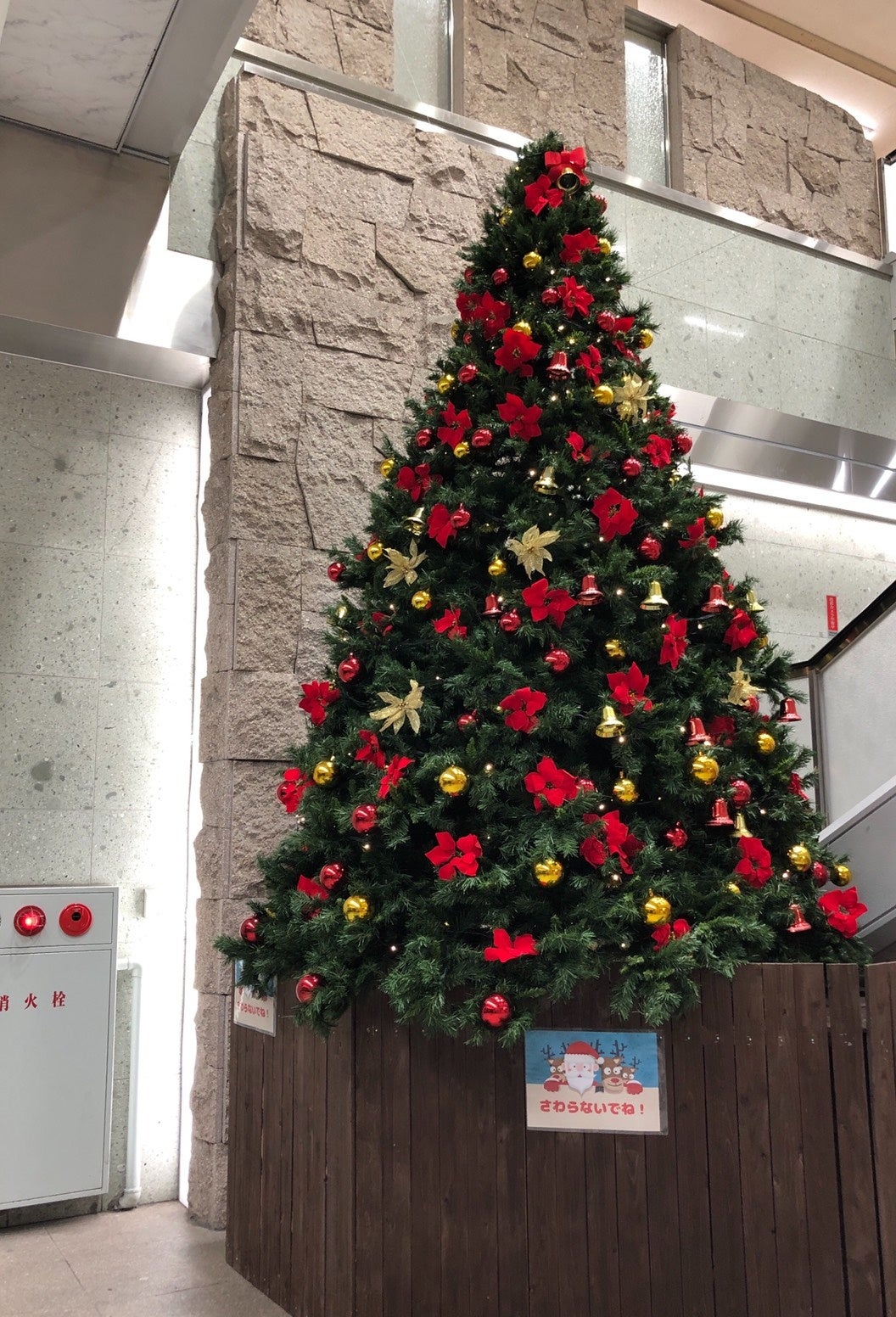 大きなツリーが館内をクリスマス色に染めます。