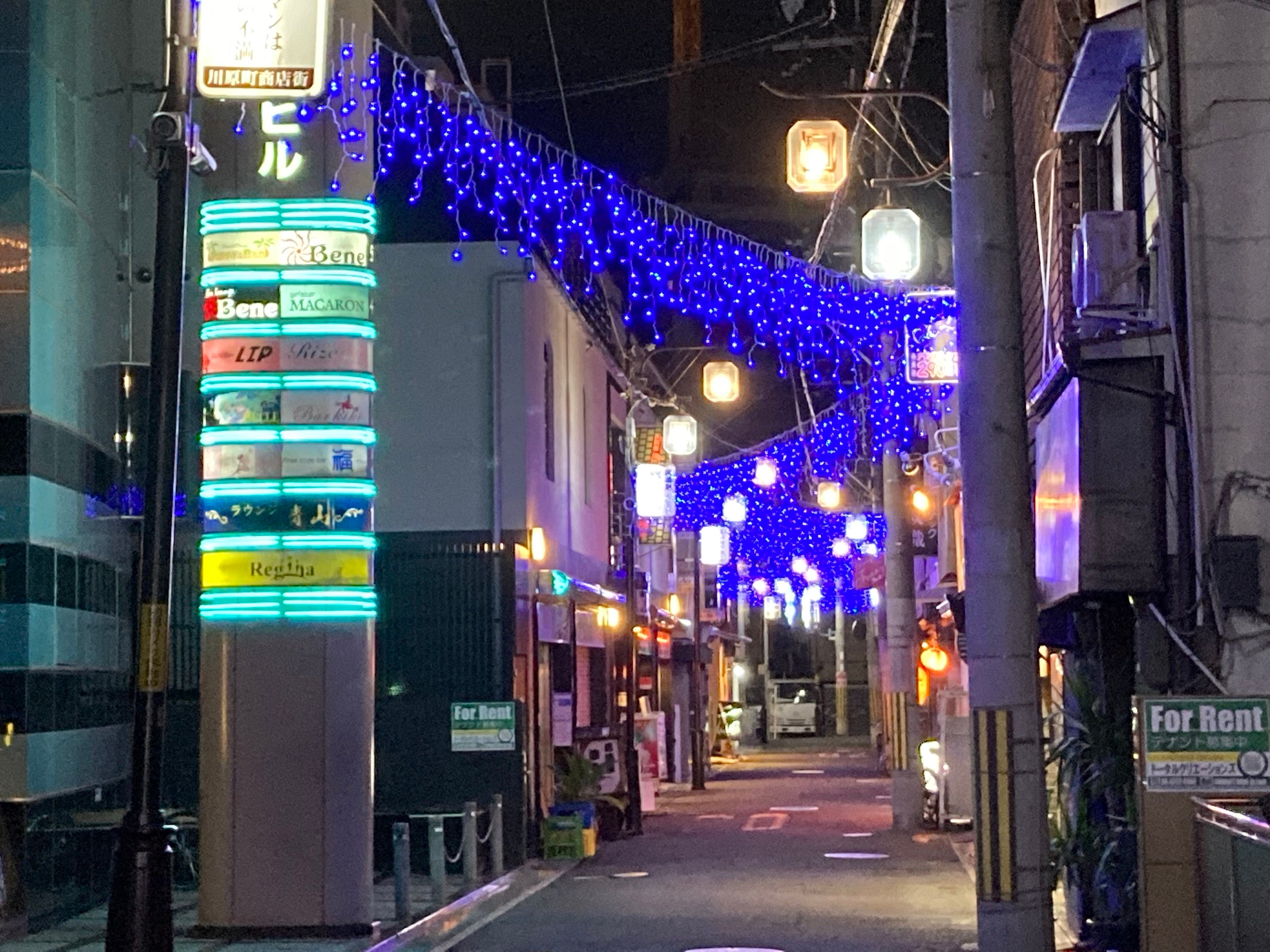 幻想的な光景が続きます