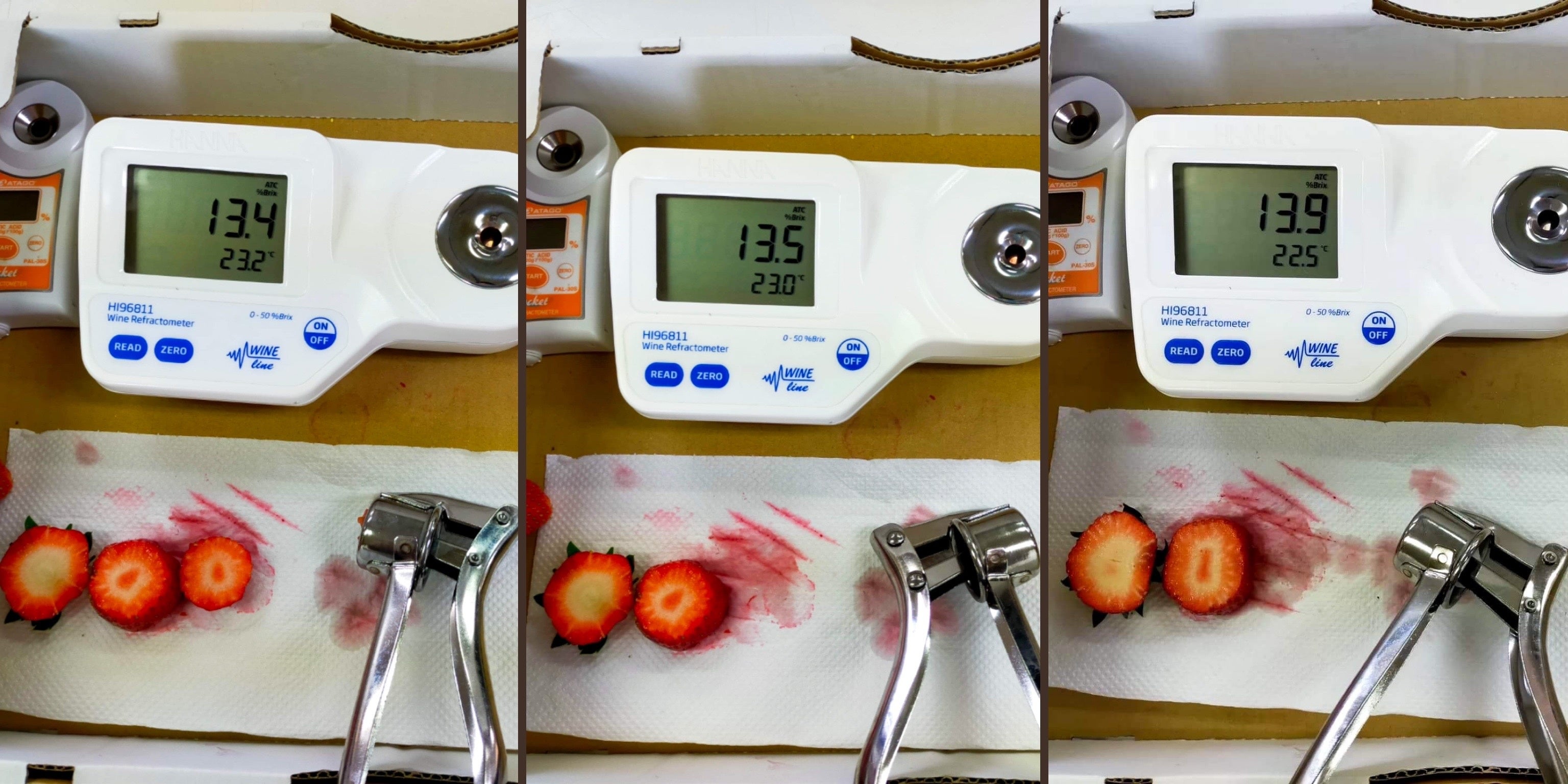 マラナタの垂直栽培法で育ったイチゴの糖度