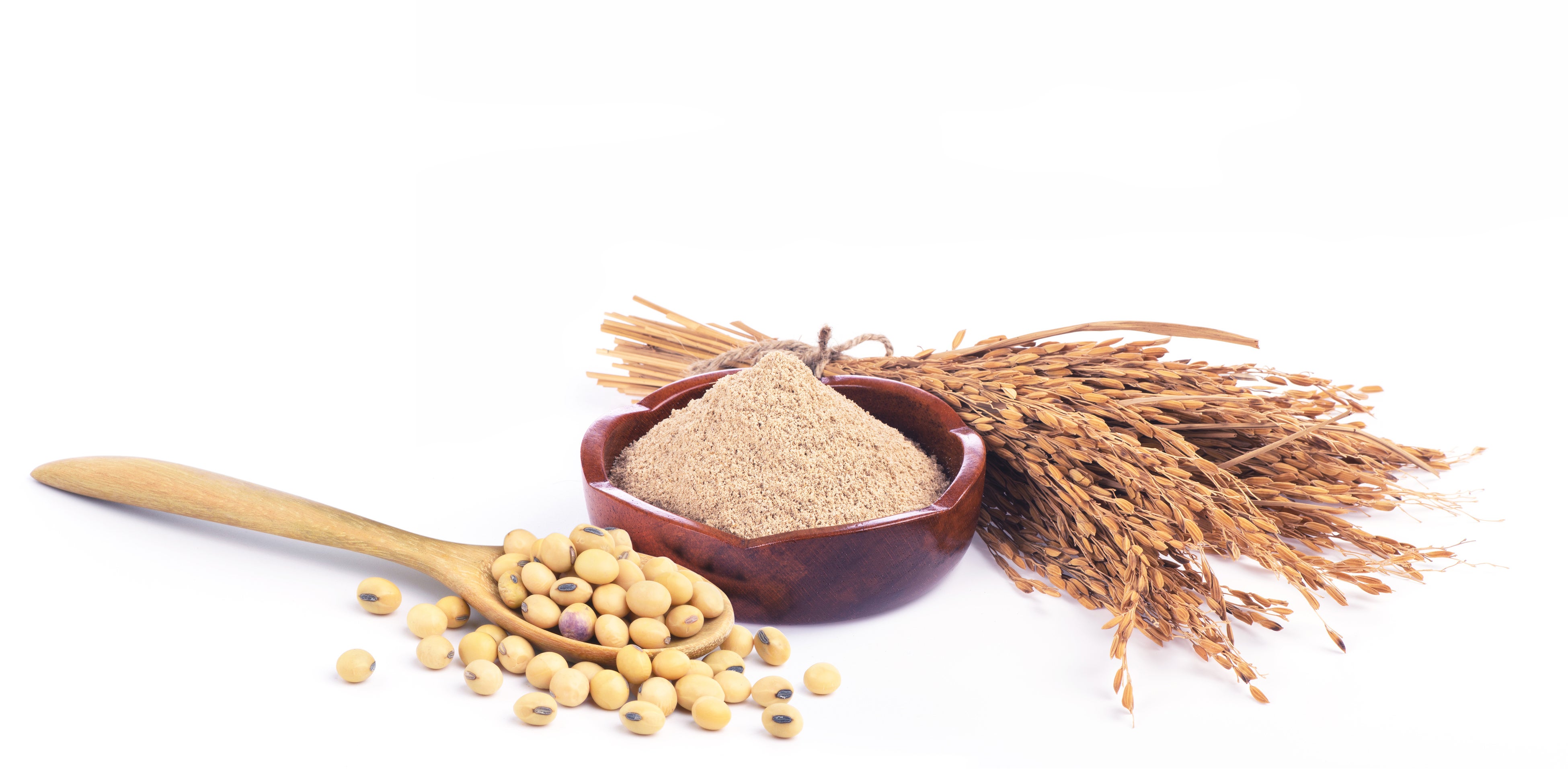 米・大豆エキス納豆菌発酵物