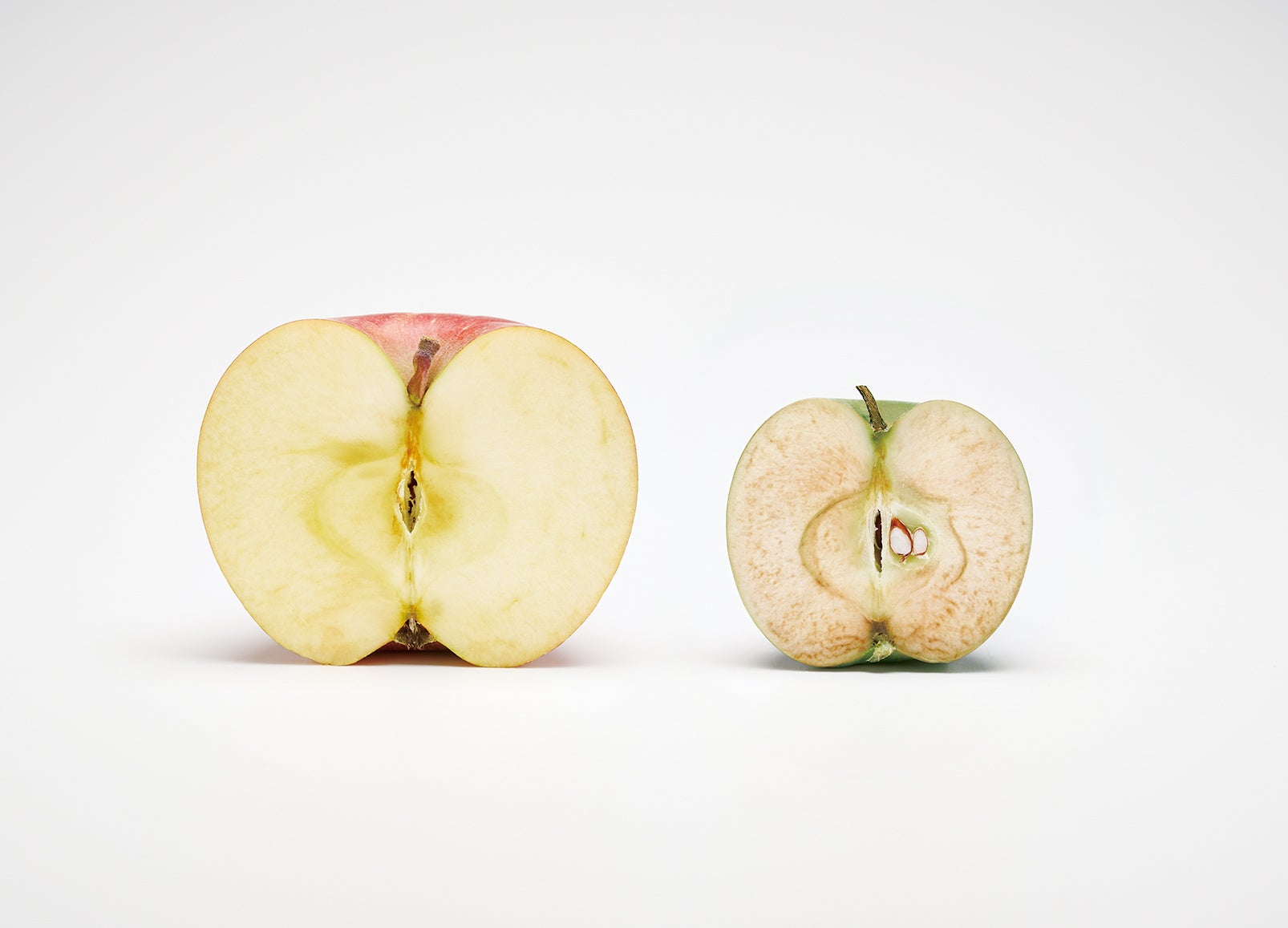 アップルフェノン解説2