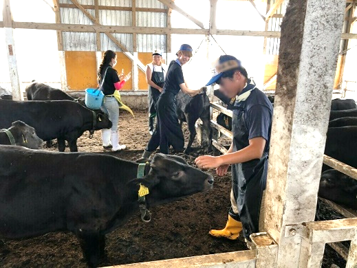 過去の徳之島でのFS実施の様子