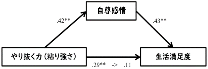 図2．やり抜く力-自尊感情-生活満足度の関連