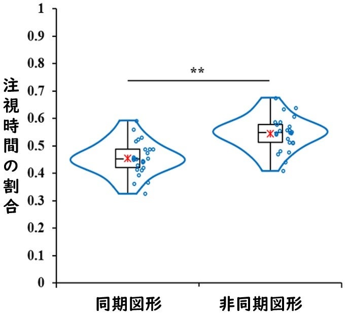 図１：乳児の同期、非同期図形への注視時間の割合