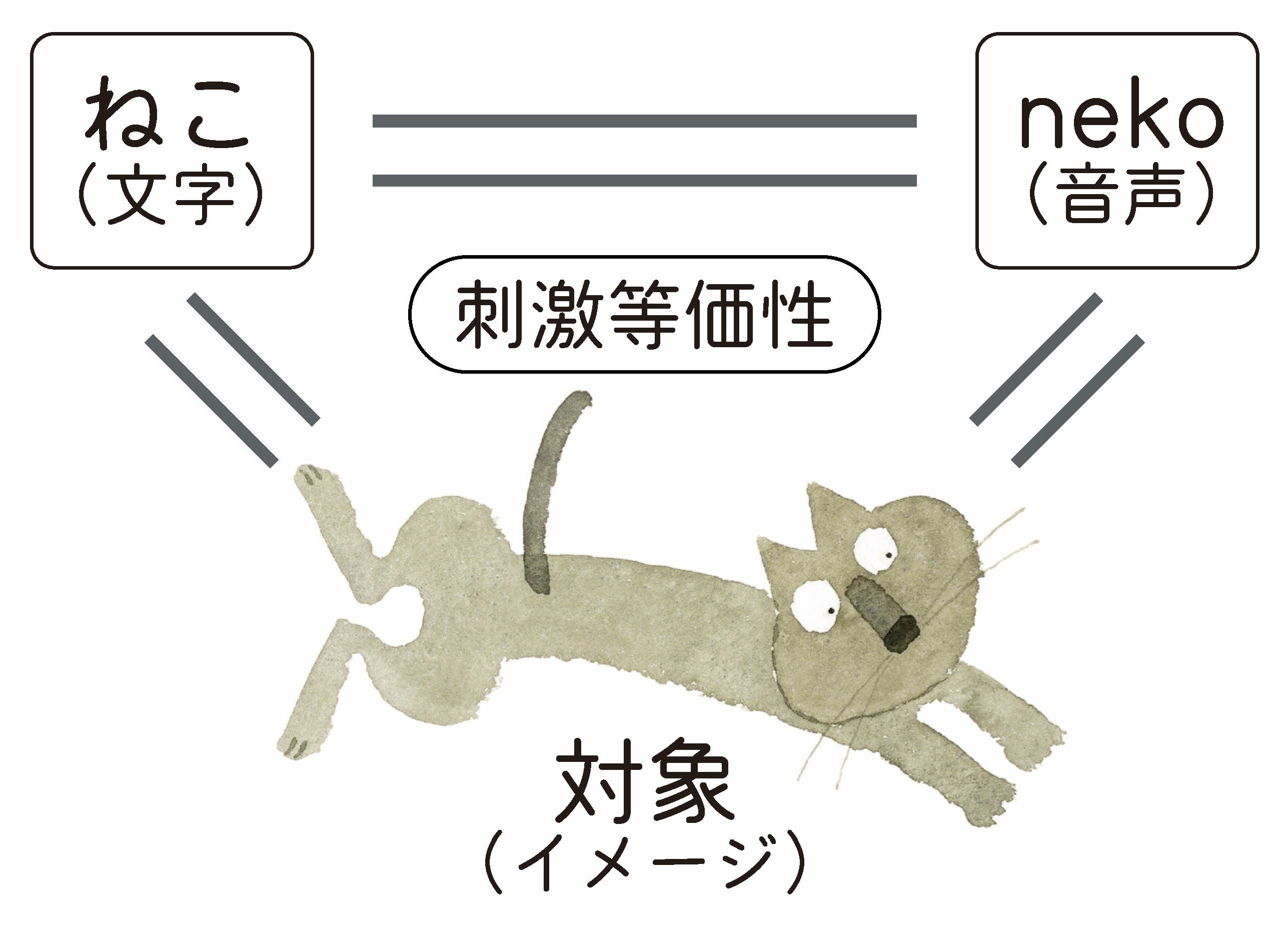 刺激等価性の例