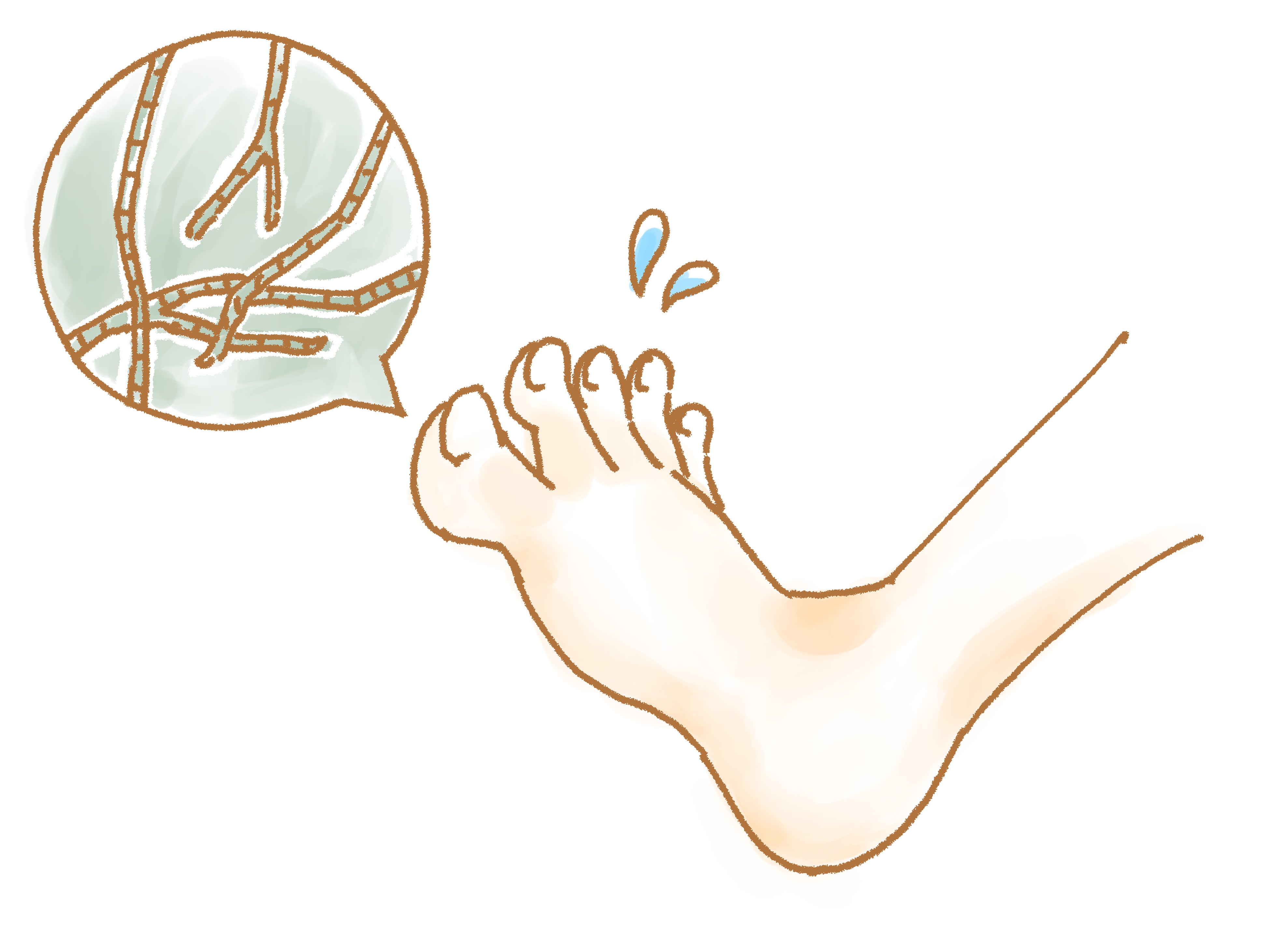 図：本研究のイメージ