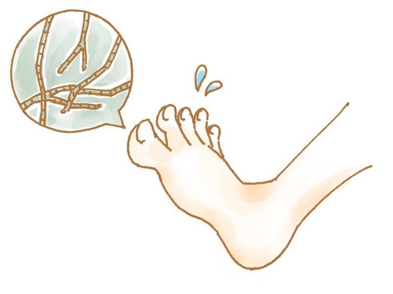 図：本研究のイメージ