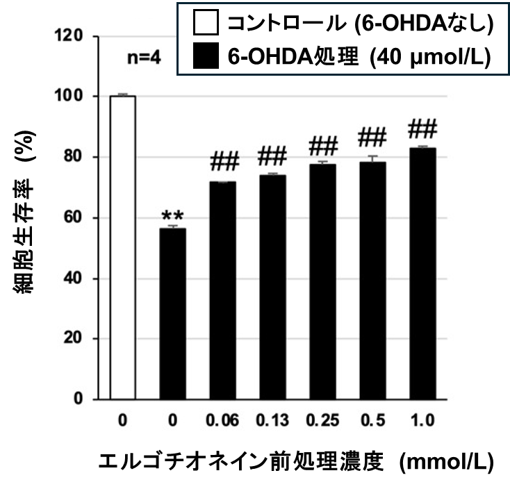 図２. エルゴチオネインの神経細胞保護作用