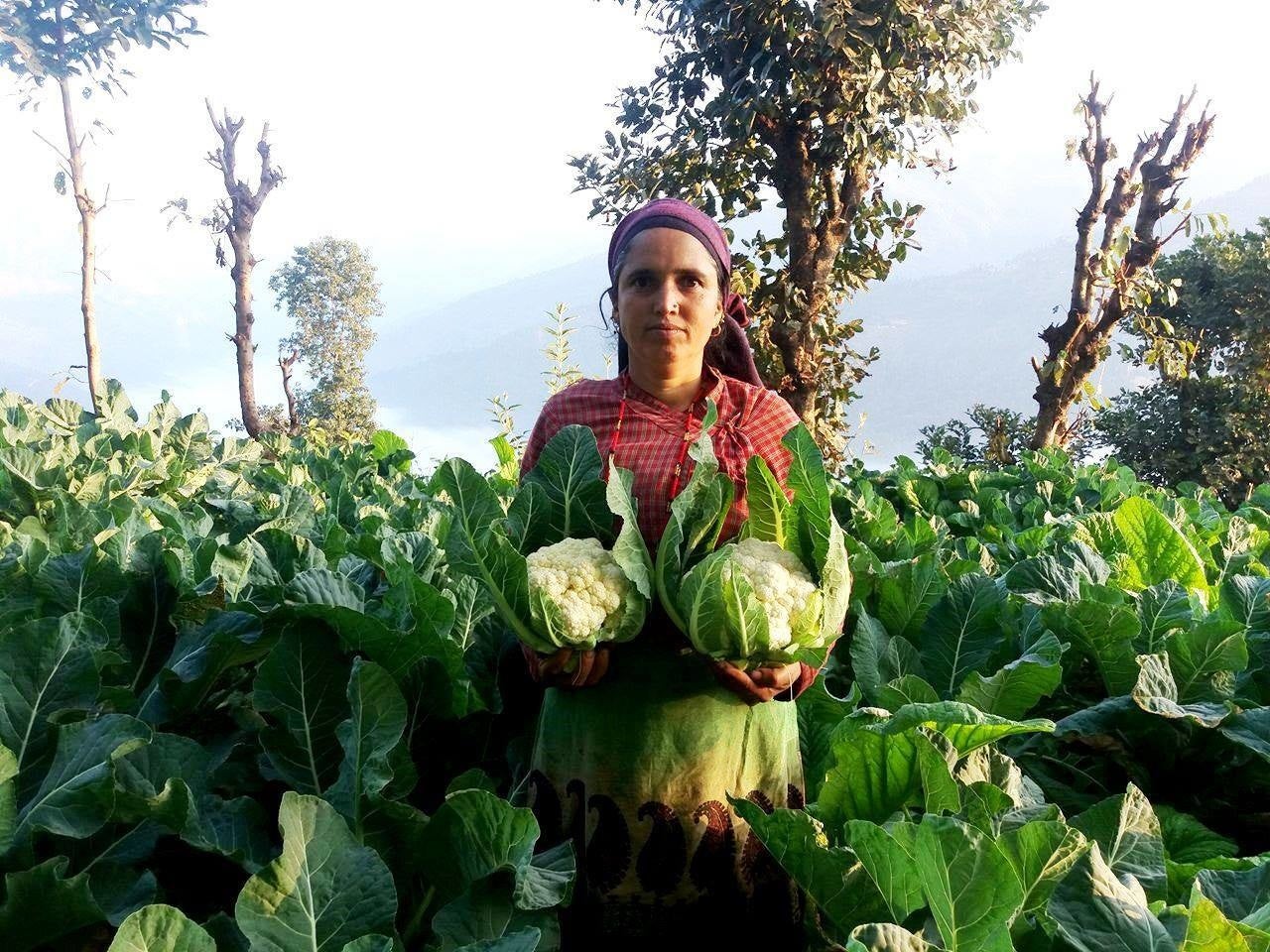 LNGが支援する農家。 学生はネパールの現状を学び、最終日にLGNの支援活動を改善する提案を行う