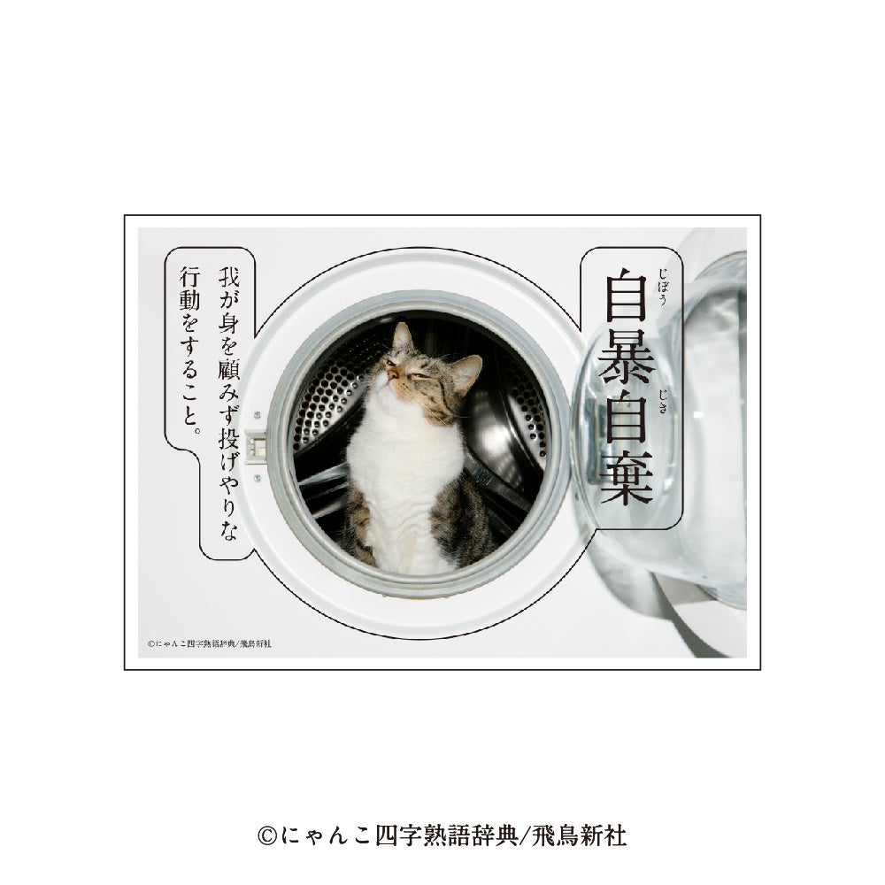 猫の日記念！にゃんこ四字熟語グッズ新登場🎉郵便局限定販売