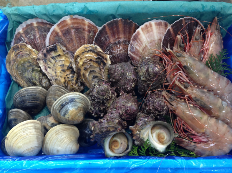 写真はイメージです