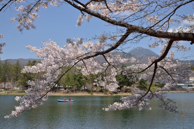 春の蓼科湖