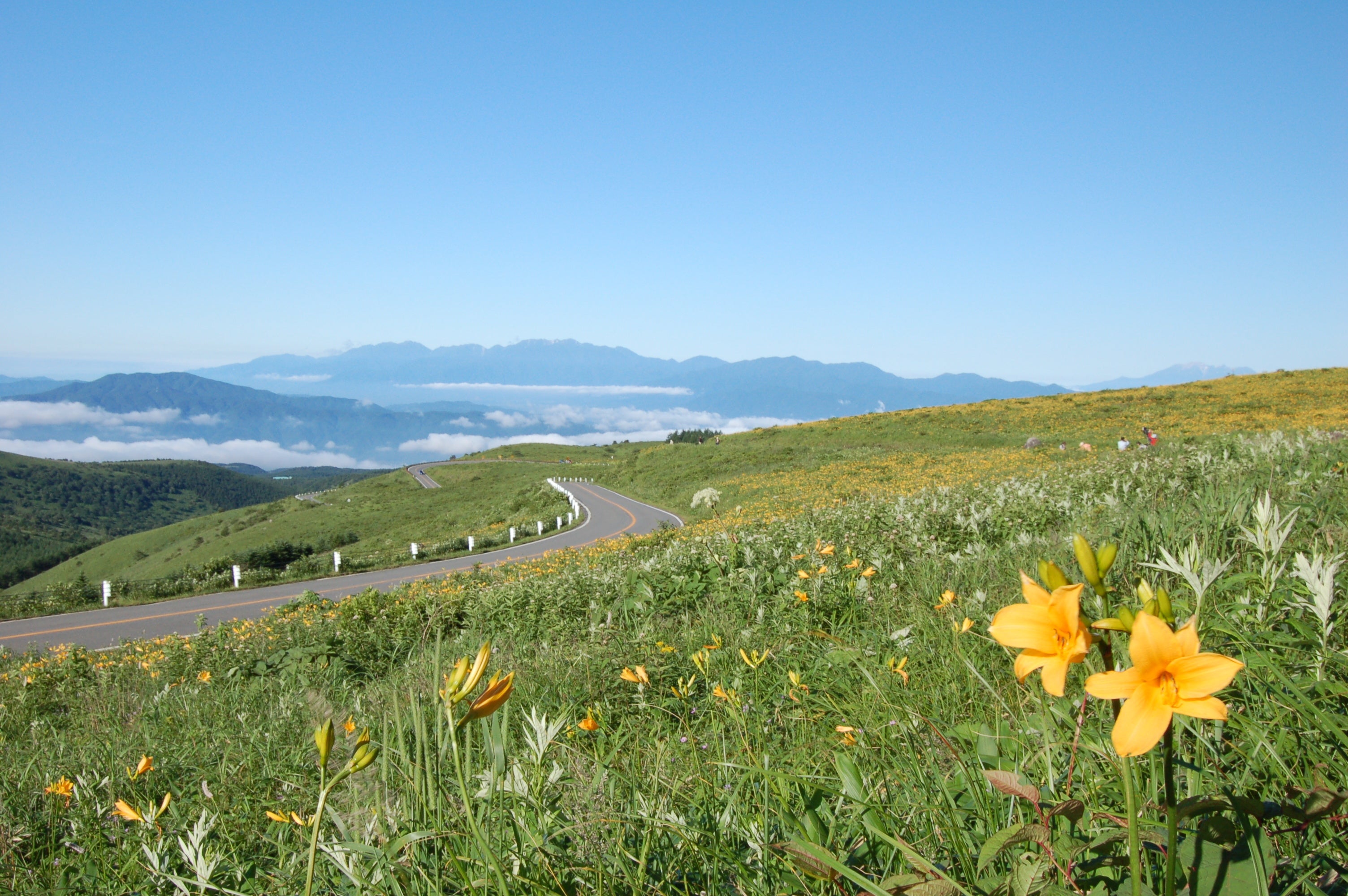 車山　ビーナスライン