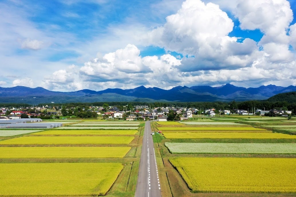 市内に広がる田園風景