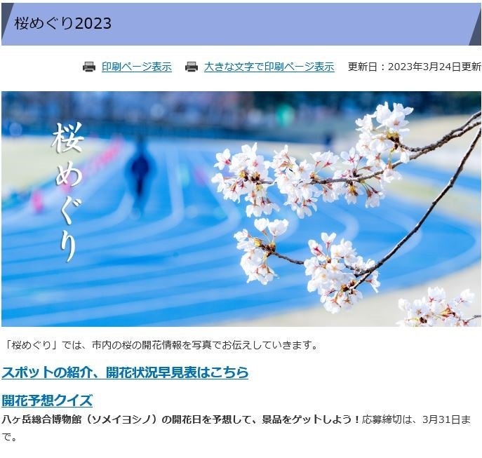 桜めぐり