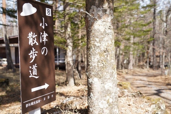 小津の散歩道