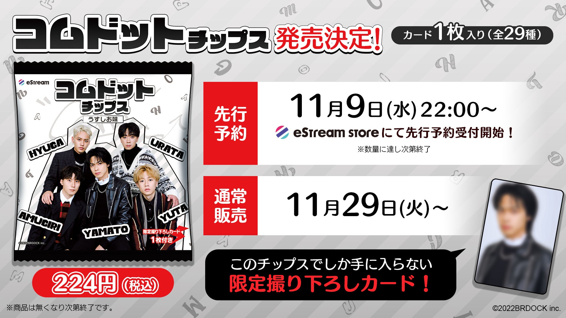 活動歴および当時の関連ビジュアル記録