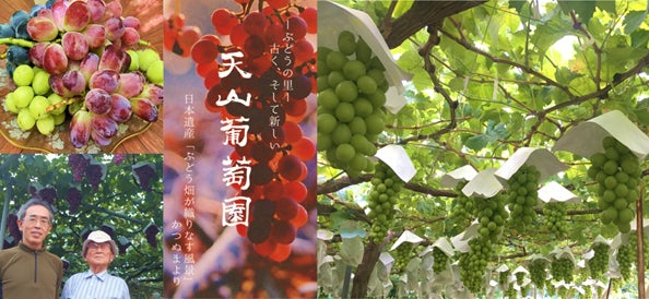 羽田空港第1ターミナルで山梨県 天山葡萄園 産品販売会を開催 日本空港ビルデング株式会社のプレスリリース 羽田空港第1ターミナルで山梨県 天山葡萄園 産品販売会を開催 日本空港ビルデング株式会社のプレスリリース