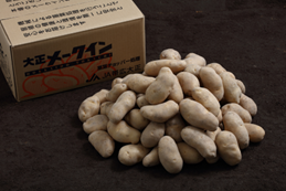 昼夜の寒暖差が大きい大正地区は、北海道を代表するメークインの産地。強い甘さと粘り気を持ったメークインを、「詰め放題」でご提供します。