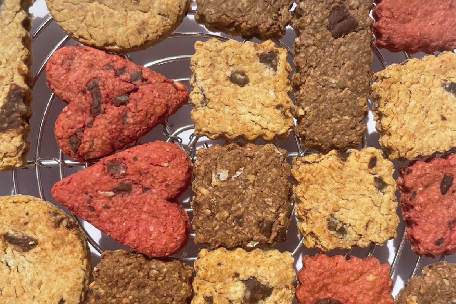 犬も人も食べられるクッキー３種