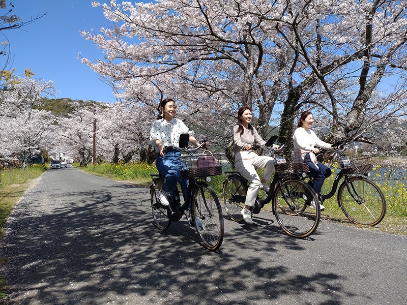 岩国市シティプロモーション用360°VR動画「春の桜編」を作成しました
