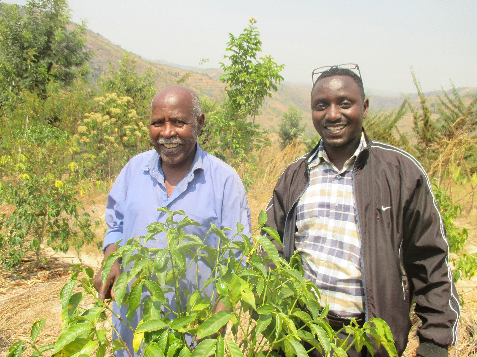 主要プロジェクトメンバー