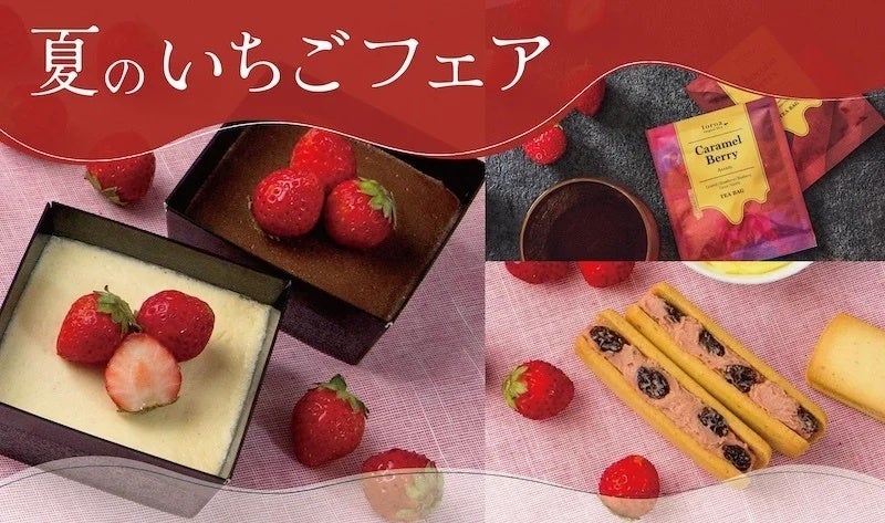 【あべのハルカス近鉄本店】のポップアップストアにてtoroaが夏のいちごフェアを開催
