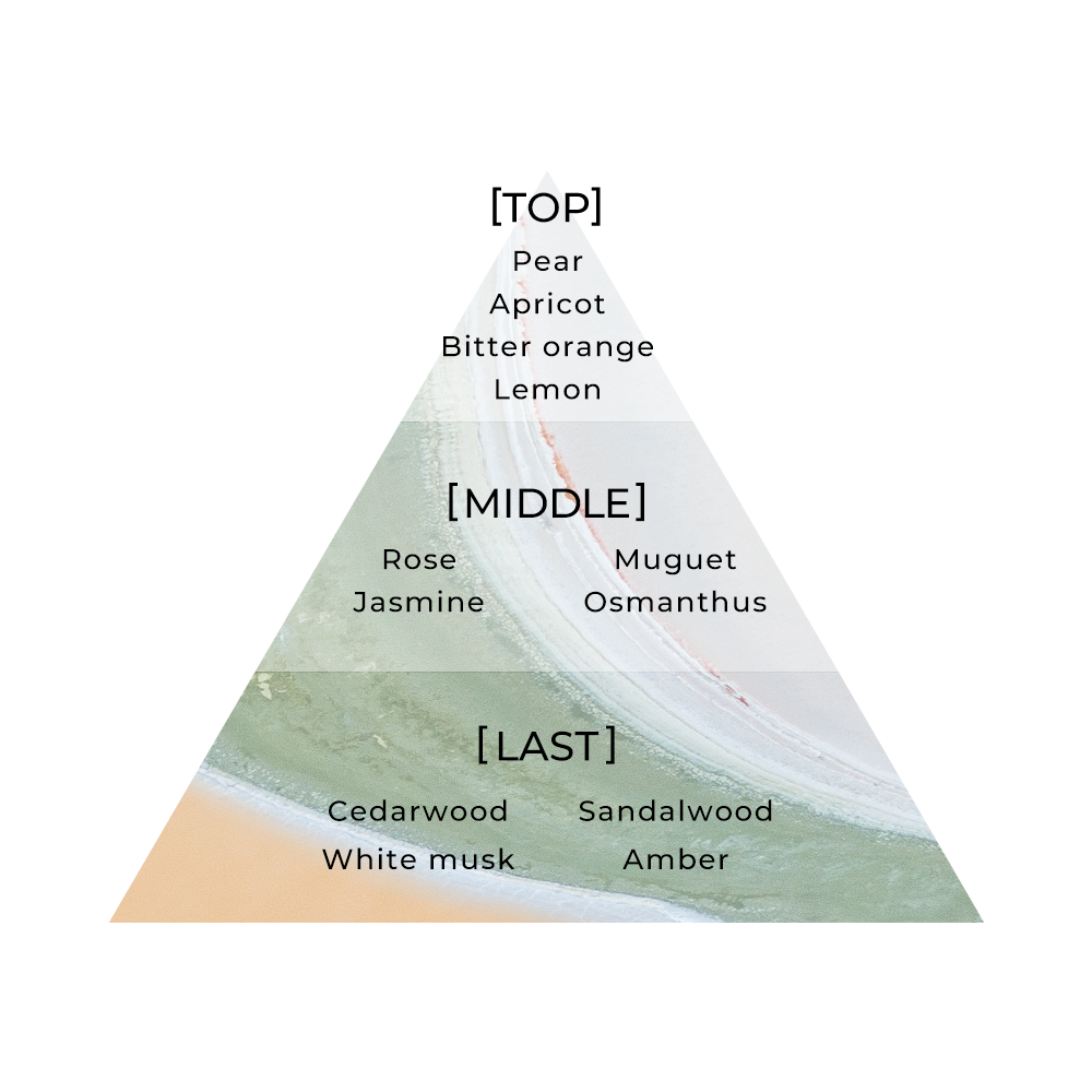 - chapter29 Fragrance Design -