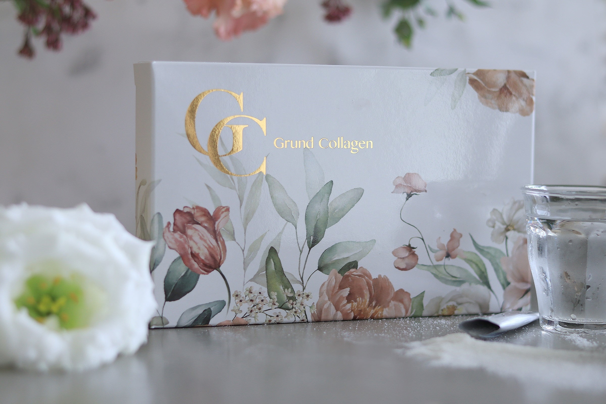 グランドコラーゲン⑤