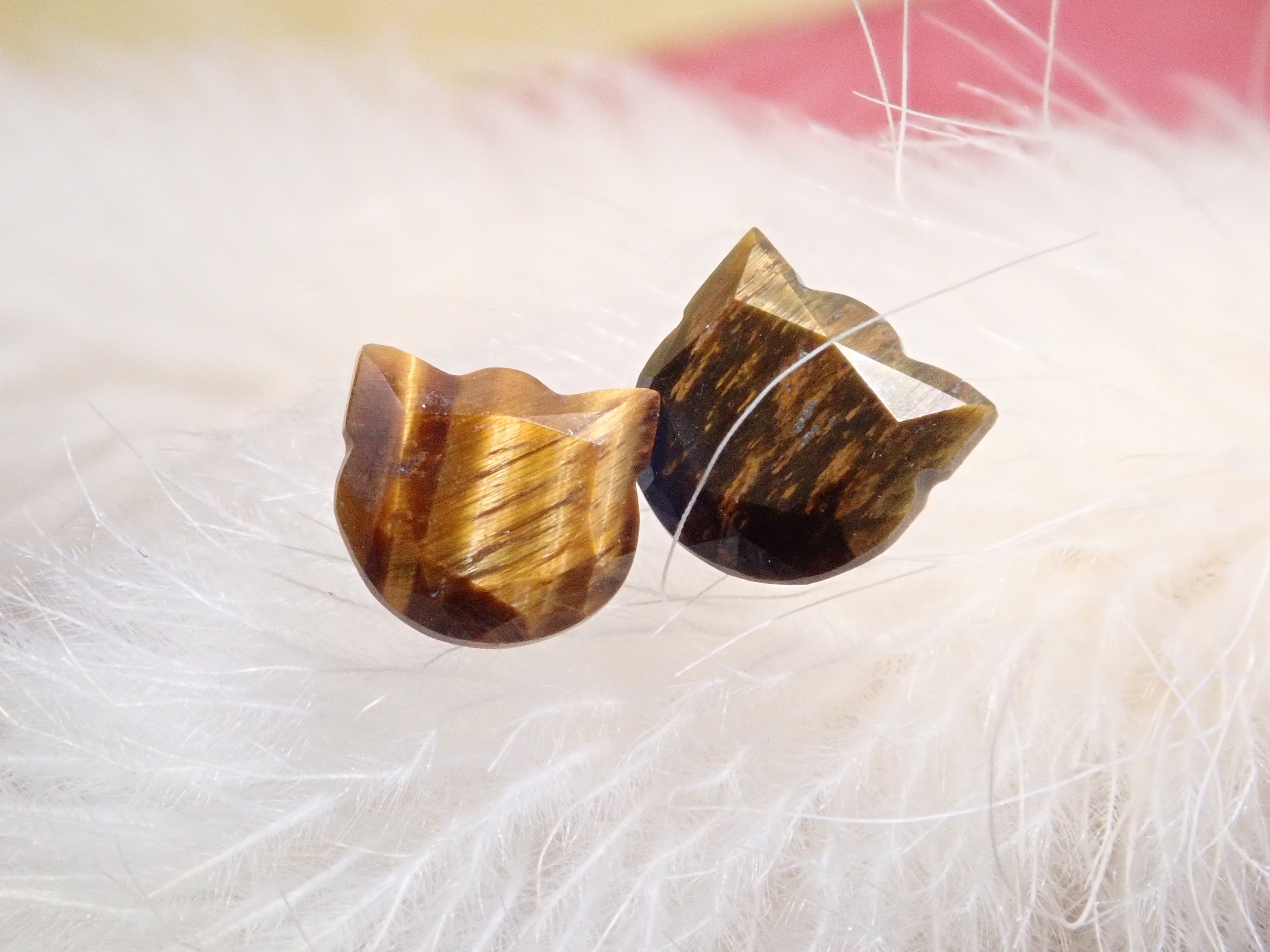 写真はタイガーアイの猫カット