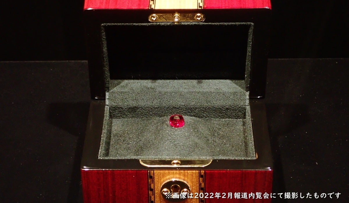 ※2022年2月報道内覧会にて撮影