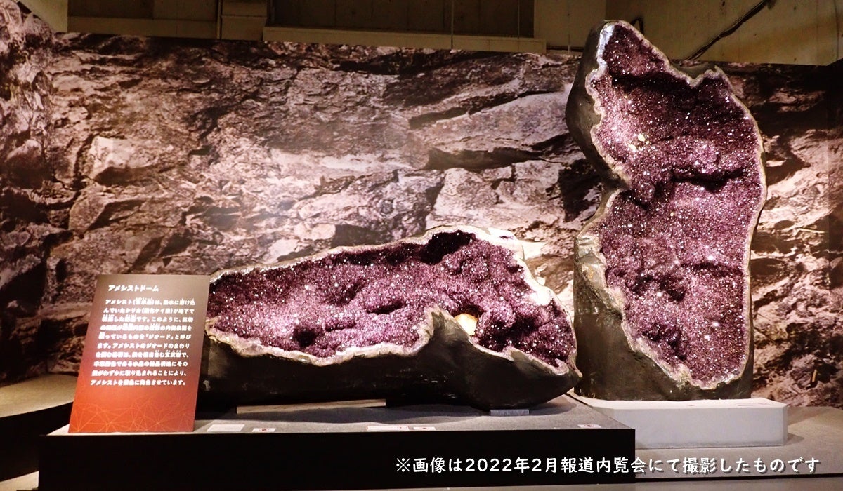※2022年2月報道内覧会にて撮影
