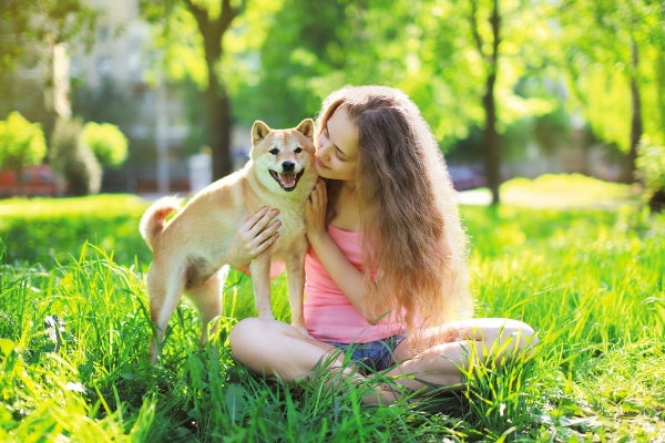 目覚めたとき犬になってたらどうする なりたい犬種ランキング1位は 柴犬 飼い主になってほしい人は 相葉雅紀さん の声が多数 177人アンケート 株式会社plan Bのプレスリリース 目覚めたとき犬になってたらどうする なりたい犬種ランキング1位は 柴犬 飼い主になってほしい人は 相葉雅紀さん の声が多数 177人アンケート 株式会社plan Bのプレスリリース