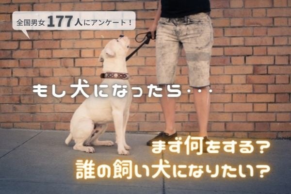 目覚めたとき犬になってたらどうする なりたい犬種 ランキング1位は 柴犬 飼い主になってほしい人は 相葉雅紀さん の声が多数 177人アンケート 株式会社plan Bのプレスリリース