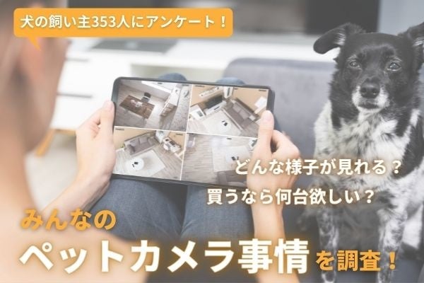愛犬のためにペットカメラを欲しい飼い主さんは6割以上 実際に使用している飼い主さんの感想は 飼い主353人アンケート Inunavi いぬ なび 株式会社plan Bのプレスリリース 愛犬のためにペットカメラを欲しい飼い主さんは6割以上 実際に使用している飼い主さんの感想は 飼い主353人アンケート Inunavi いぬ なび 株式会社plan Bのプレスリリース