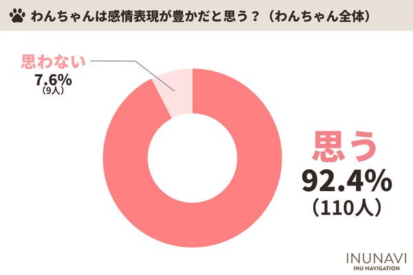 愛犬の面白行動や珍エピソードをランキング形式で紹介!飼い主119人のアンケート結果 愛犬の面白行動や珍エピソードをランキング形式で紹介!飼い主119人のアンケート結果