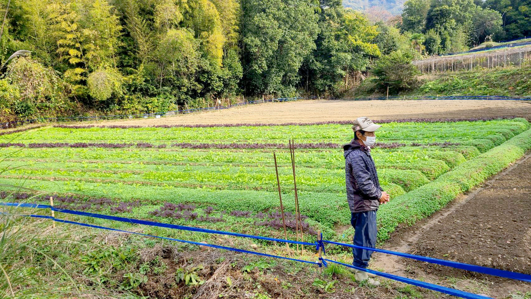 松浦産業_来るなら濃いブルーテープ実験1