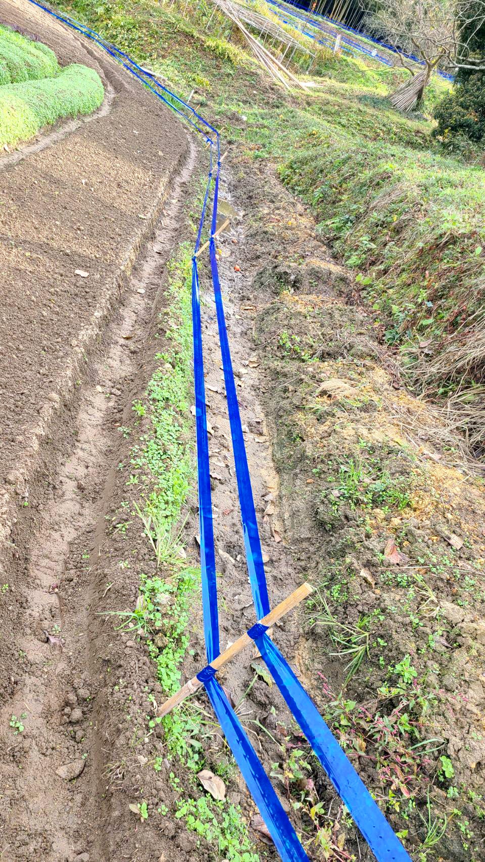 松浦産業_来るなら濃いブルーテープ実験2