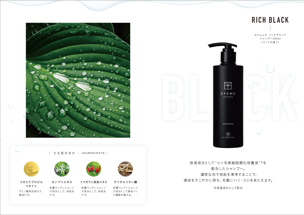 HARVEST シャンプー / ナチュラルAGAクリニック ナチュラルAGAクリニック HARVEST SHAMPOO200ml 2個セット